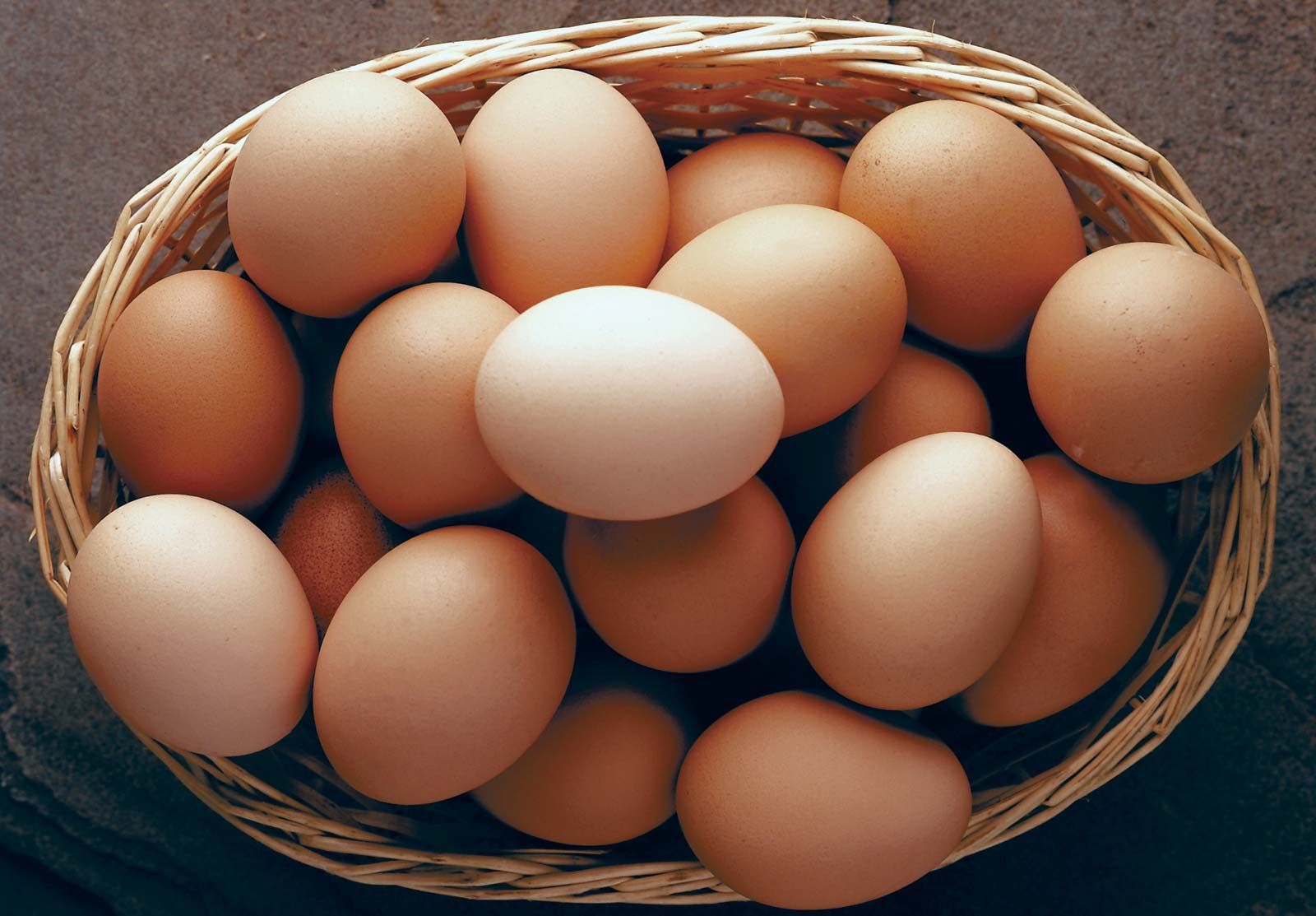 Egg | Definition, Characteristics, & Nutritional Content | Britannica