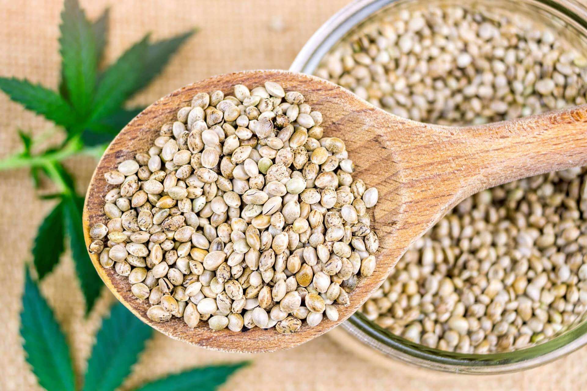 Scientific evidence joins the empirical wisdom that Cannabis Sativa (Hemp) Seed Oil is beneficial for your skin - Reviva Labs