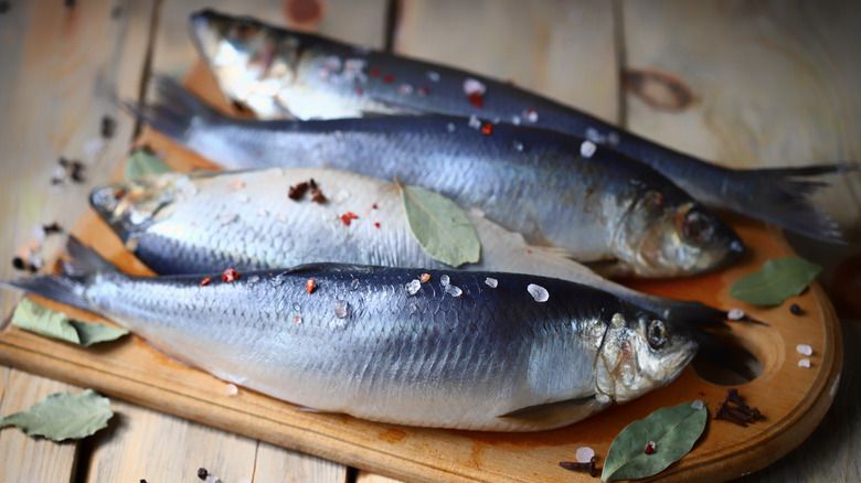 What Is Herring And What Does It Taste Like?