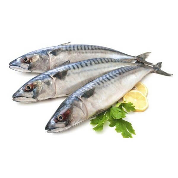 Sardines free home delivery - by